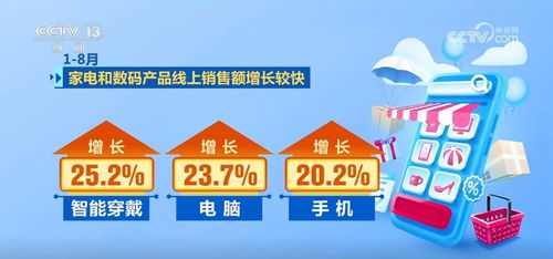 前8個(gè)月我國(guó)電子商務(wù)保持健康較快發(fā)展，消費(fèi)活力持續(xù)激發(fā)